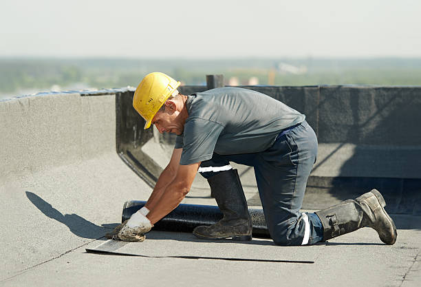Professional Insulation Contractor in Milledgeville, IL